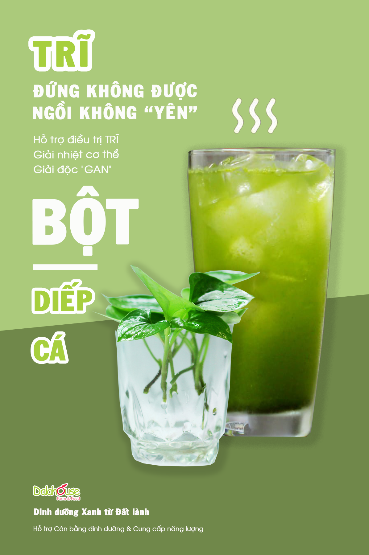 Bột Diếp Cá hữu cơ nguyên chất sấy lạnh Dalahouse - Tuýp 3gr - Mát Gan, ngừa mụn, ngừa trĩ và táo bón. Hỗ trợ bảo vệ Phổi