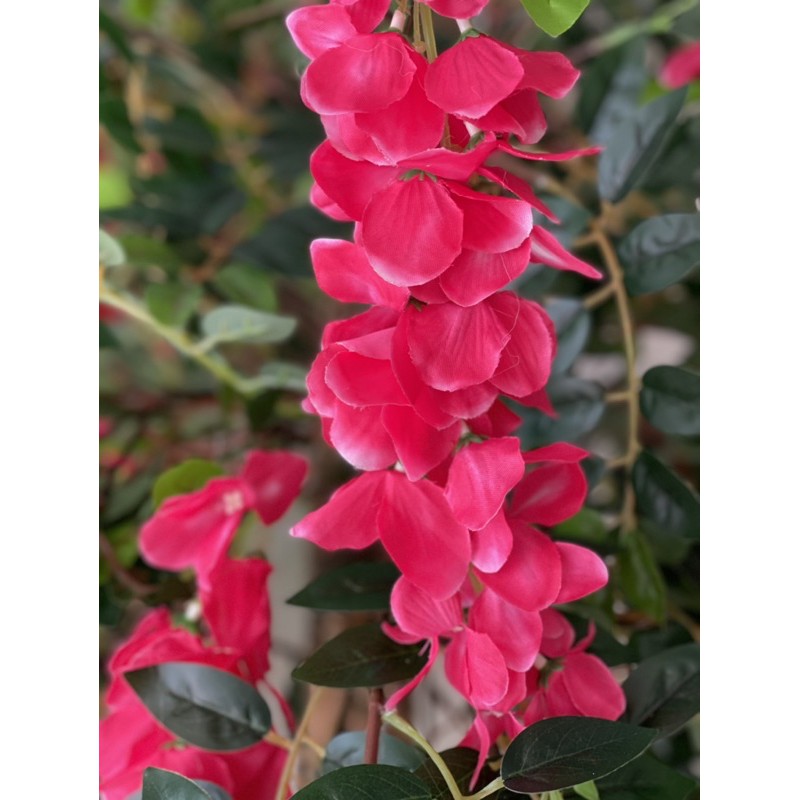 Chậu cây bồ công anh giả - Size 140cm - Cây giả, hoa lụa trang trí nhà cửa
