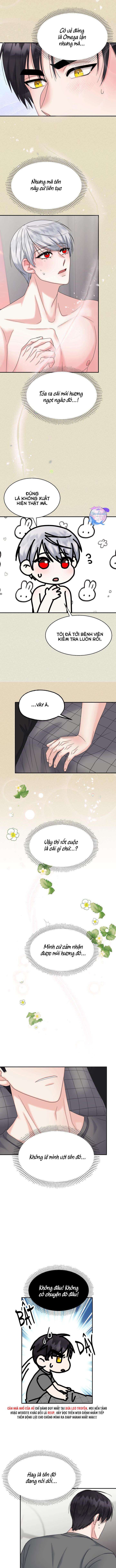 đây là chú thỏ mà bạn (không) đã đặt hàng chapter 12 10