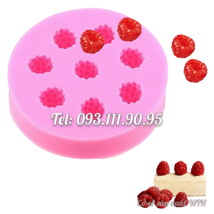 Khuôn rau câu silicon phúc bồn tử mâm xôi – Mã số 1712