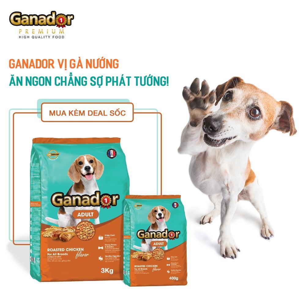 Thức ăn cho chó trưởng thành Ganador vị gà nướng bao 10kg