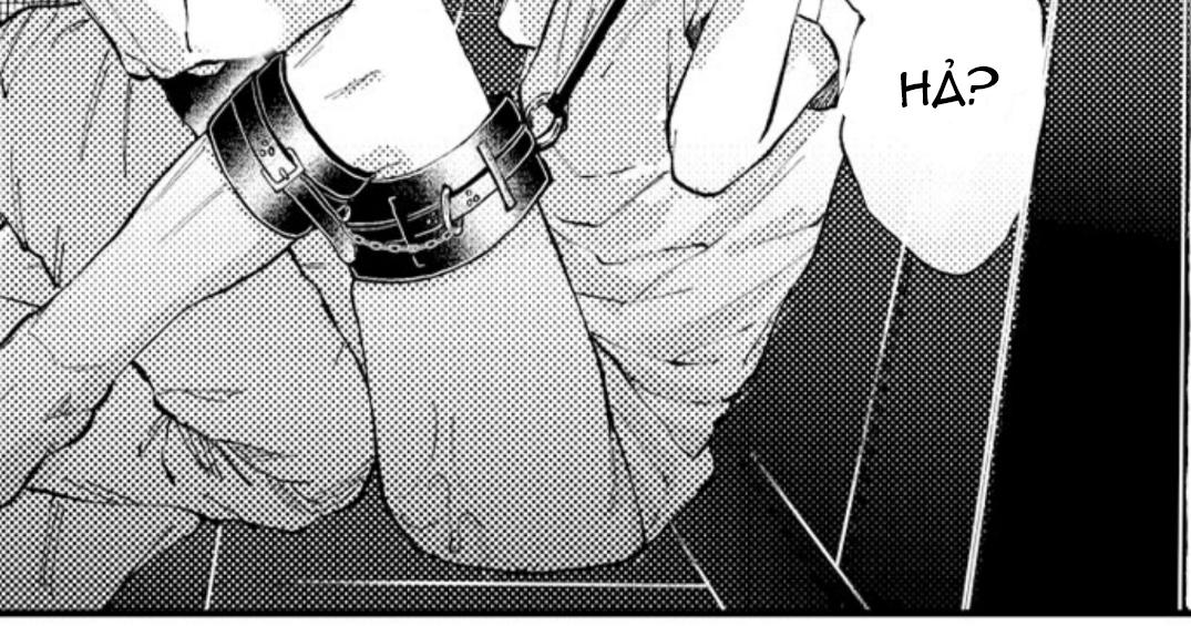 bị tán tỉnh bởi chàng trai lập dị chapter 11 60