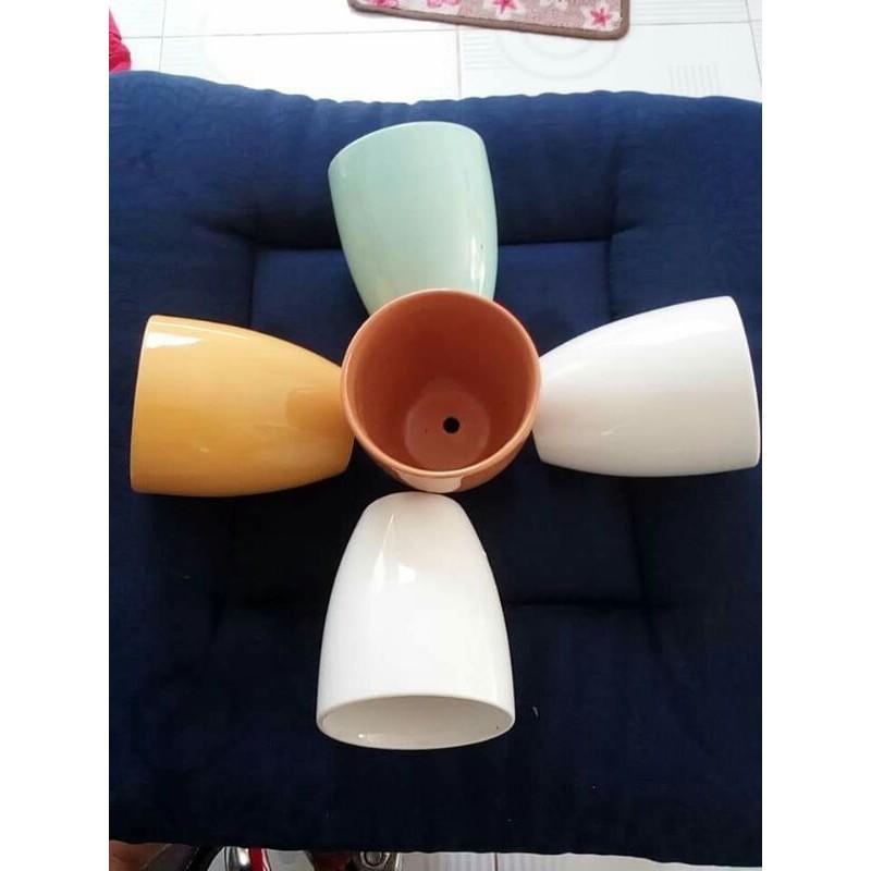 5 chậu trồng sen đá xương rồng cao 10 miệng 8cm