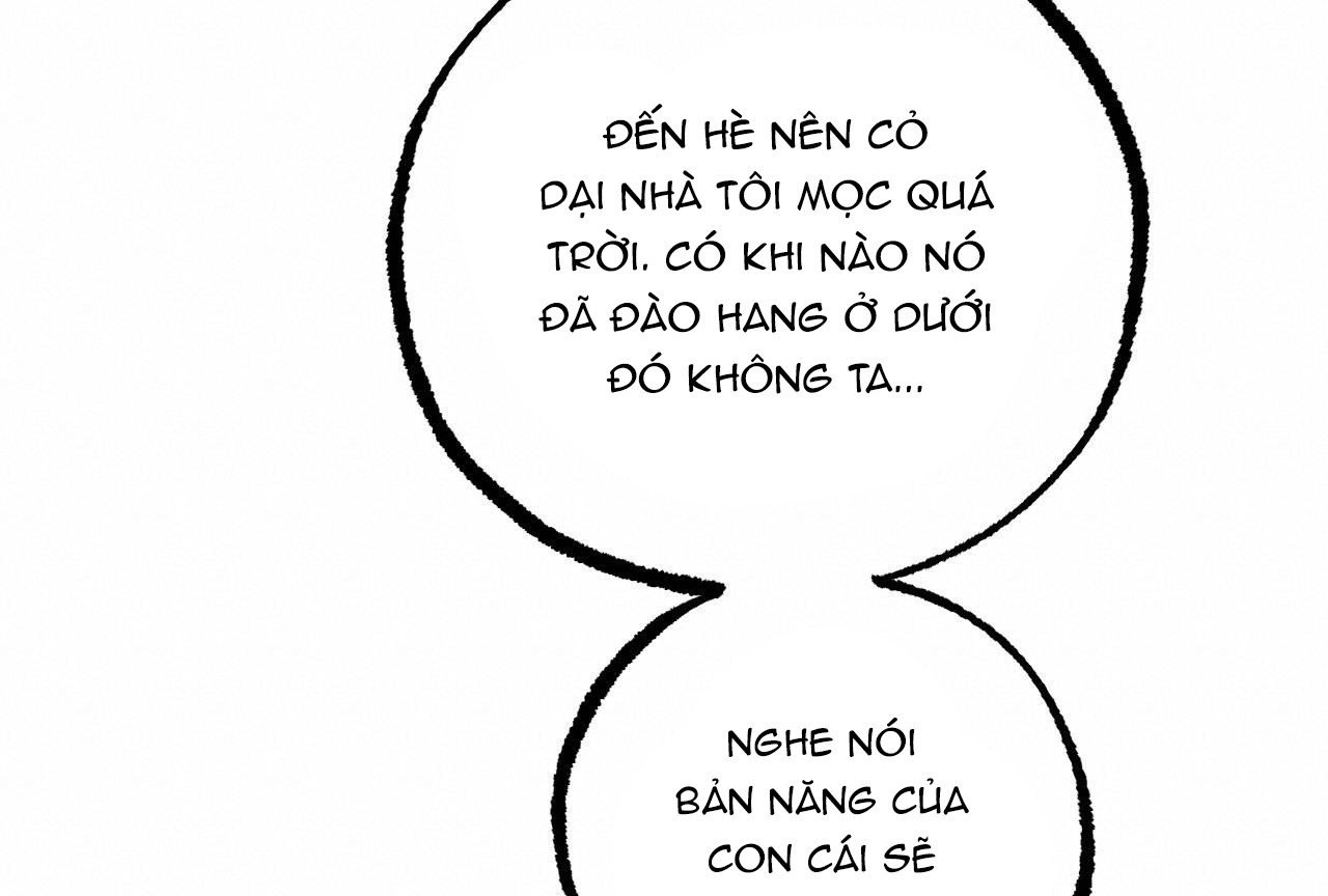 đàn thỏ của habibi chapter 28 59