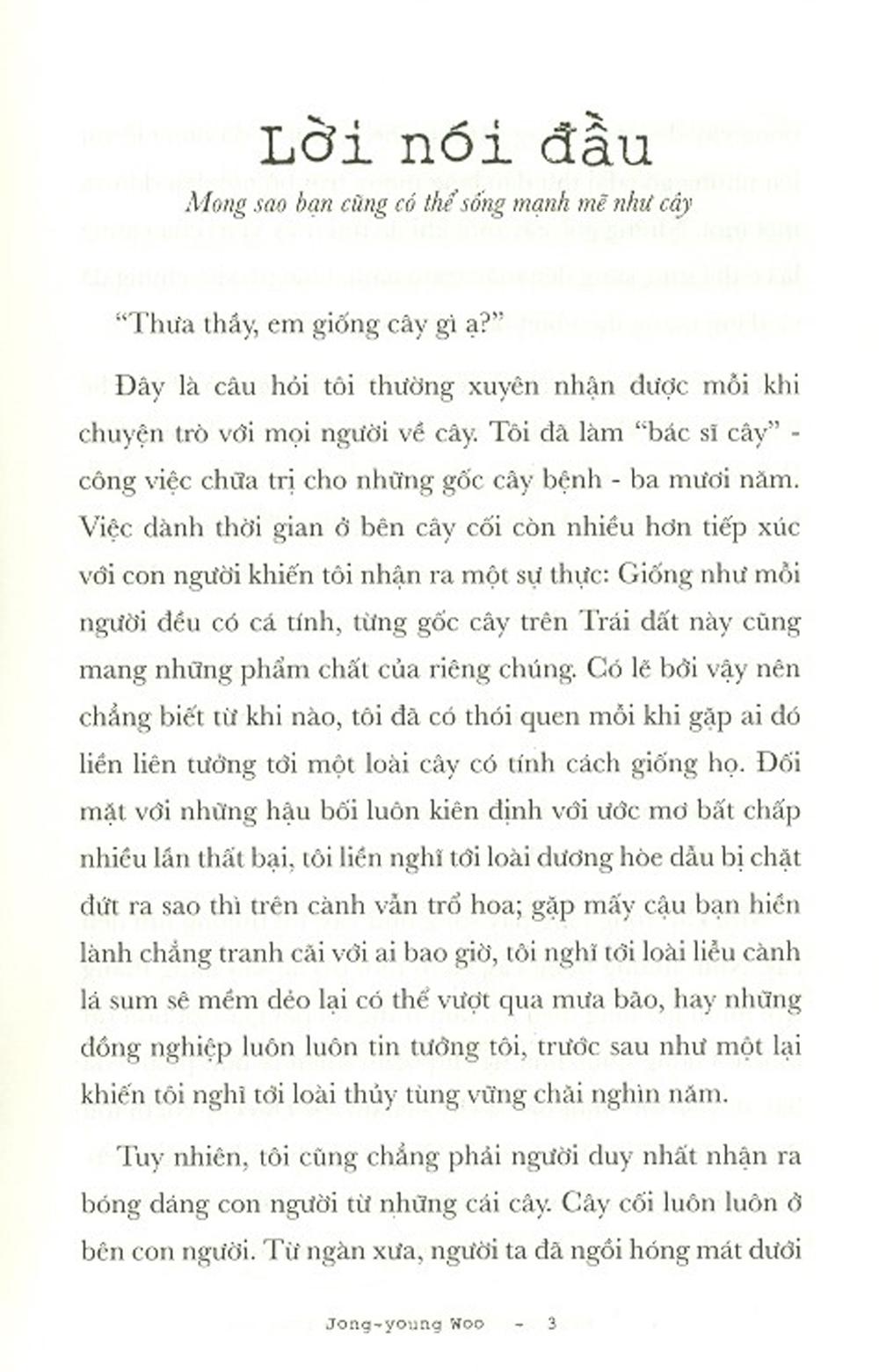 Bài Học Cuộc Đời Từ Những Rừng Cây