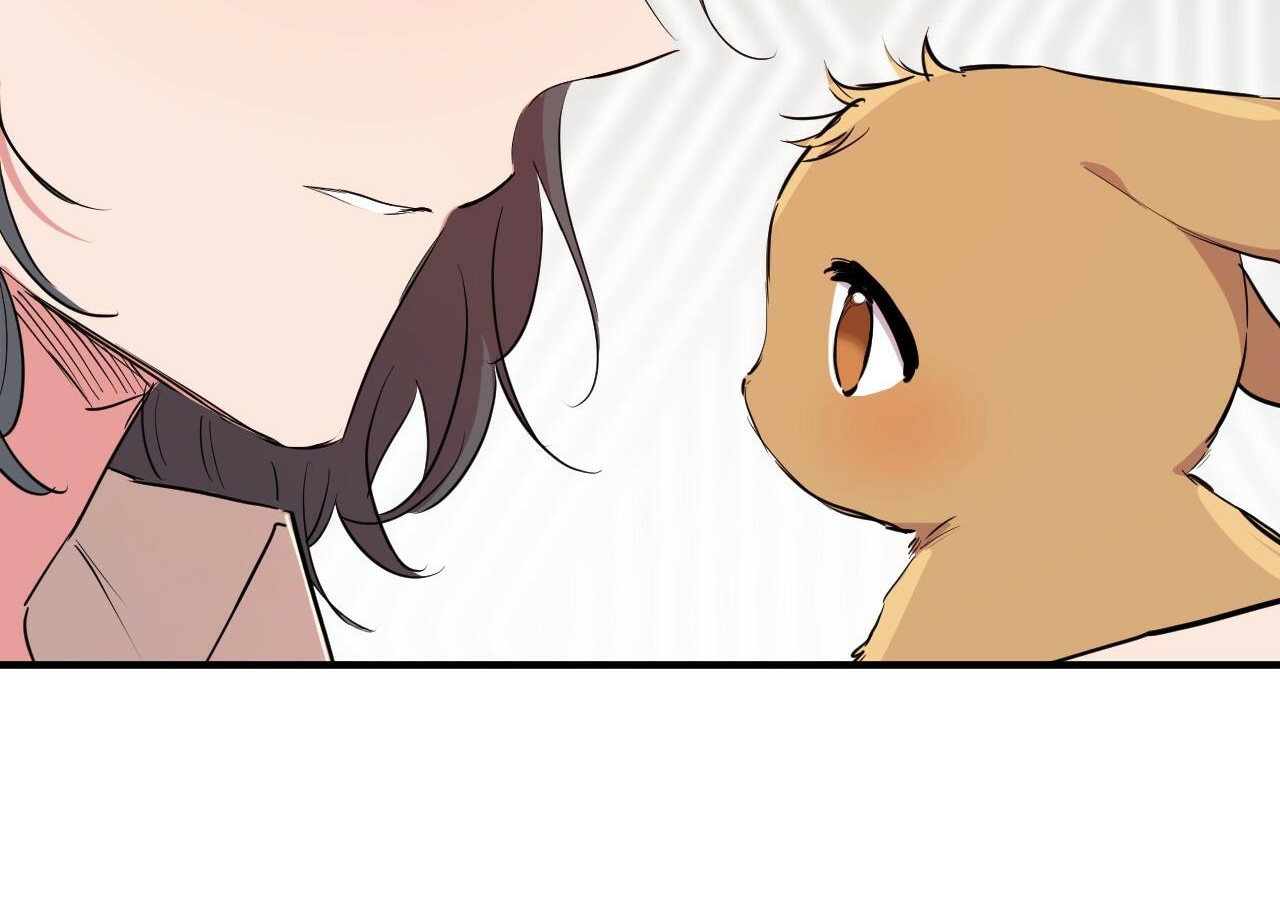 đàn thỏ của habibi chapter 20 224