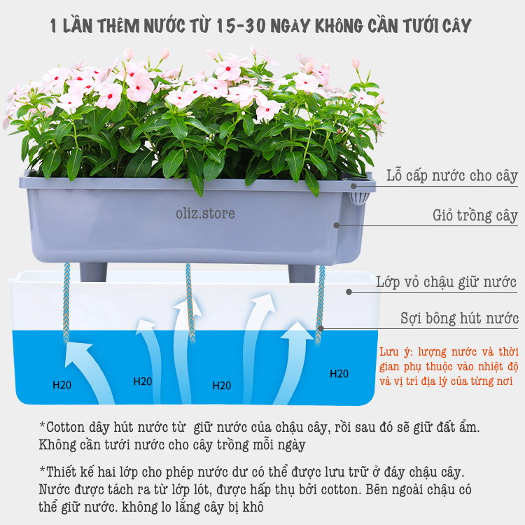 Chậu nhựa trồng cây A207. Chậu trồng cây tự dưỡng 2 lớp, có chức năng tự hút nước cho cây