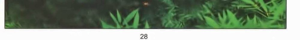 tuyệt thế vô song 2 chapter 46 52