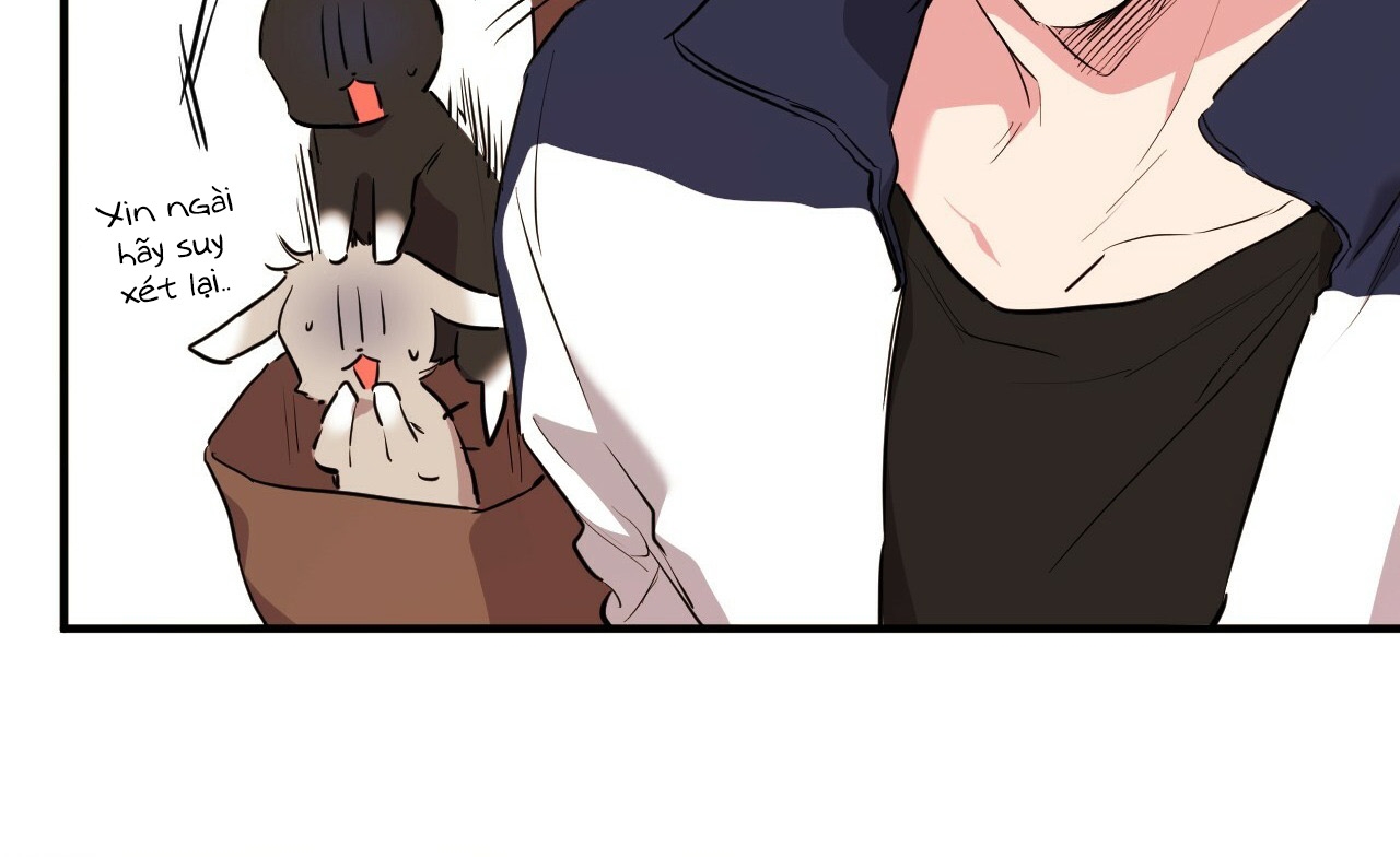 đàn thỏ của habibi chapter 19 255