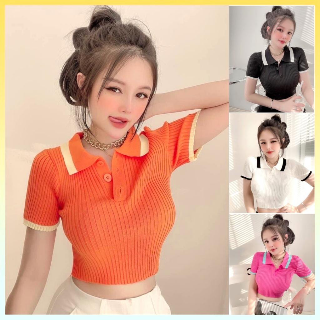 [L2M] Áo len Montoghi dệt kim CROPTOP DÁNG ÔM 2 MÀU cổ bẻ phối viền phối nút xinh xắn