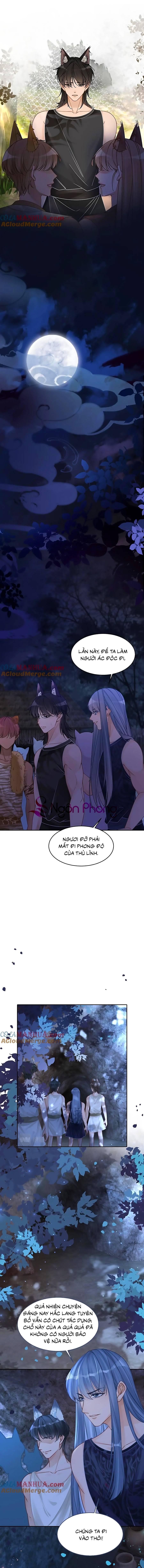 xuyên nhanh nữ phụ bình tĩnh chút chapter 168 3