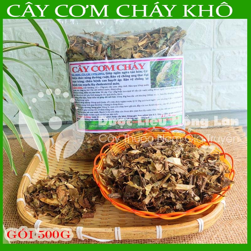 Cây Cơm Cháy khô sạch đóng gói 500g