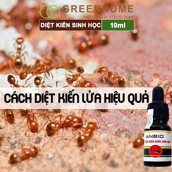 Thuốc diệt kiến gián sinh học Anbio, chai 10ml, an toàn, hiệu quả, tiết kiệm |Greenhome