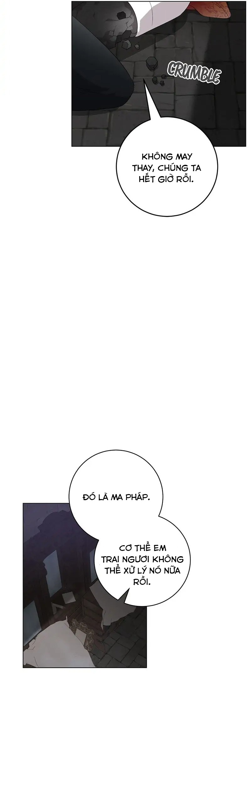 nữ phản diện muốn có kết thúc đẹp chapter 55 21