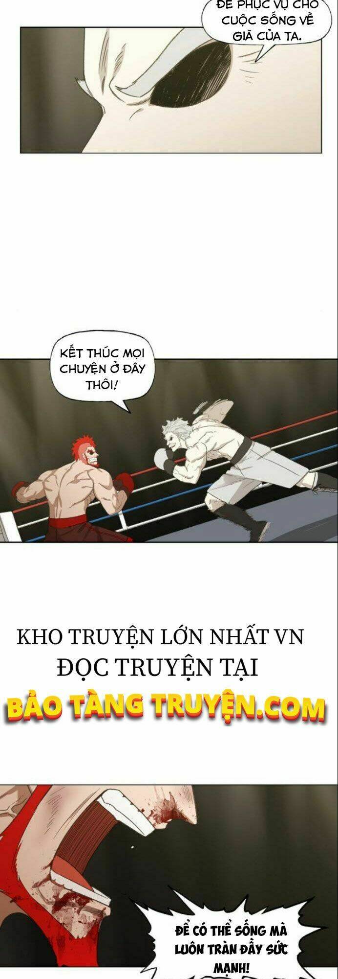 võ sĩ - the boxer chapter 72 51