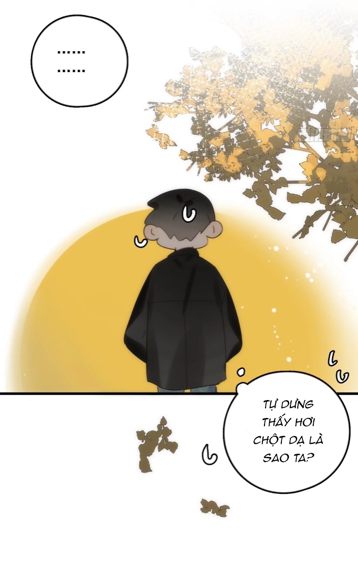 đêm đầy sao nói với em chapter 46 12