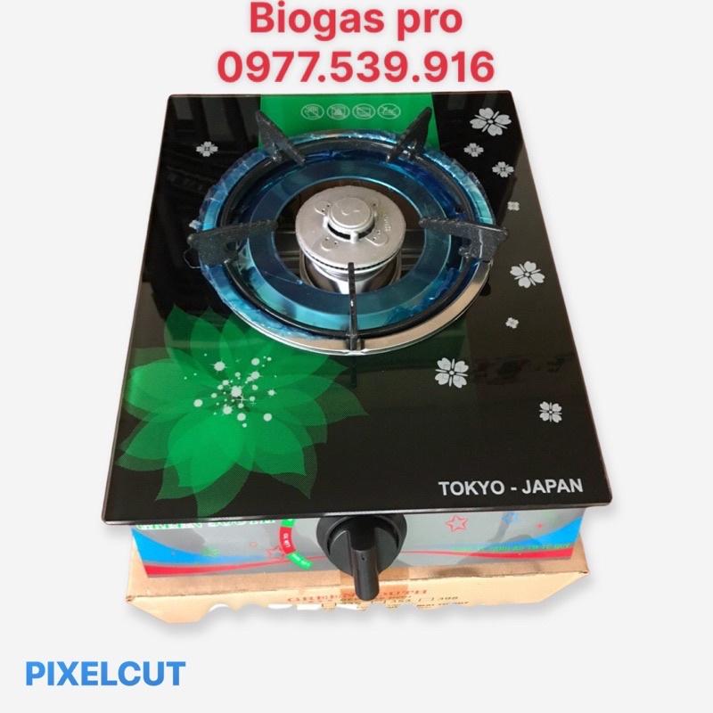 Bếp biogas đơn kính