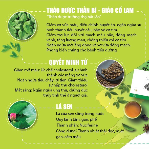 Thực phẩm bảo vệ sức khỏe Ích thanh trà - Thiên Sư, Cân bằng huyết áp, thanh nhiệt giải độc, ngủ ngon an thần, eo thon gọn dáng.