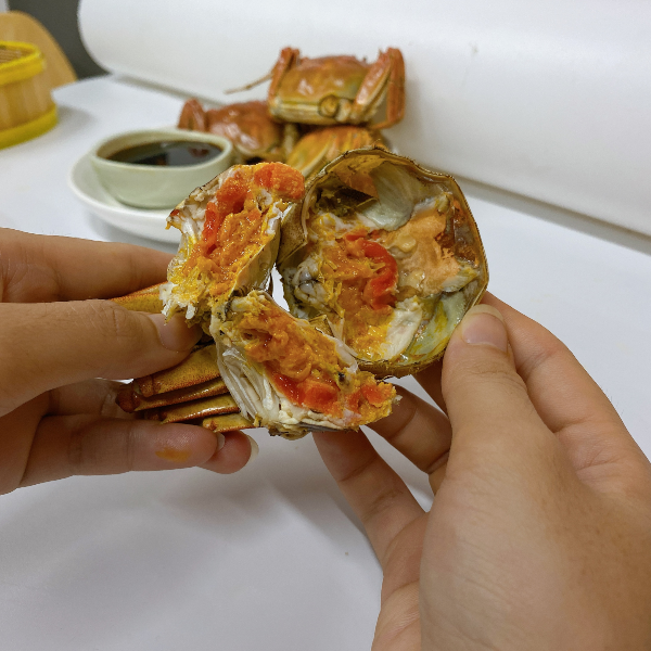 Combo 3 con cua lông cái