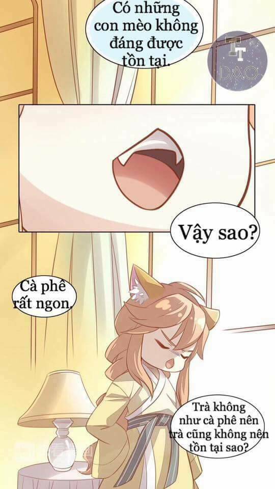 dưới móng vuốt mèo chapter 8 44