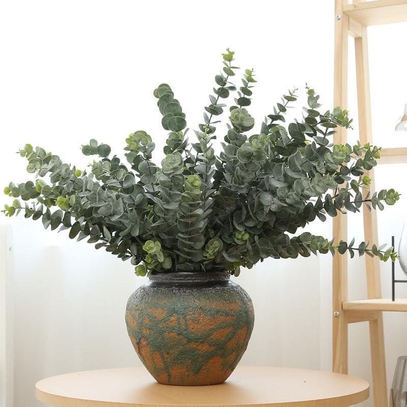 Cành lá táo cao su xịn