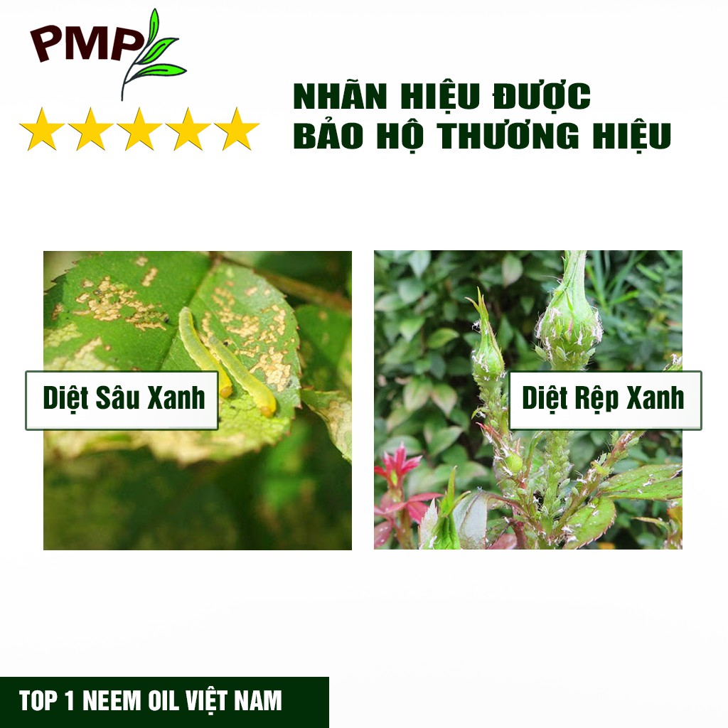 Dầu Neem Oil Hữu Cơ PMP Nguyên Chất Loại Bỏ Trĩ, Rệp, Nhện Đỏ, Nấm, Sâu Bệnh Cho Hoa Hồng, Rau Củ Green Neem 50ml-100ml