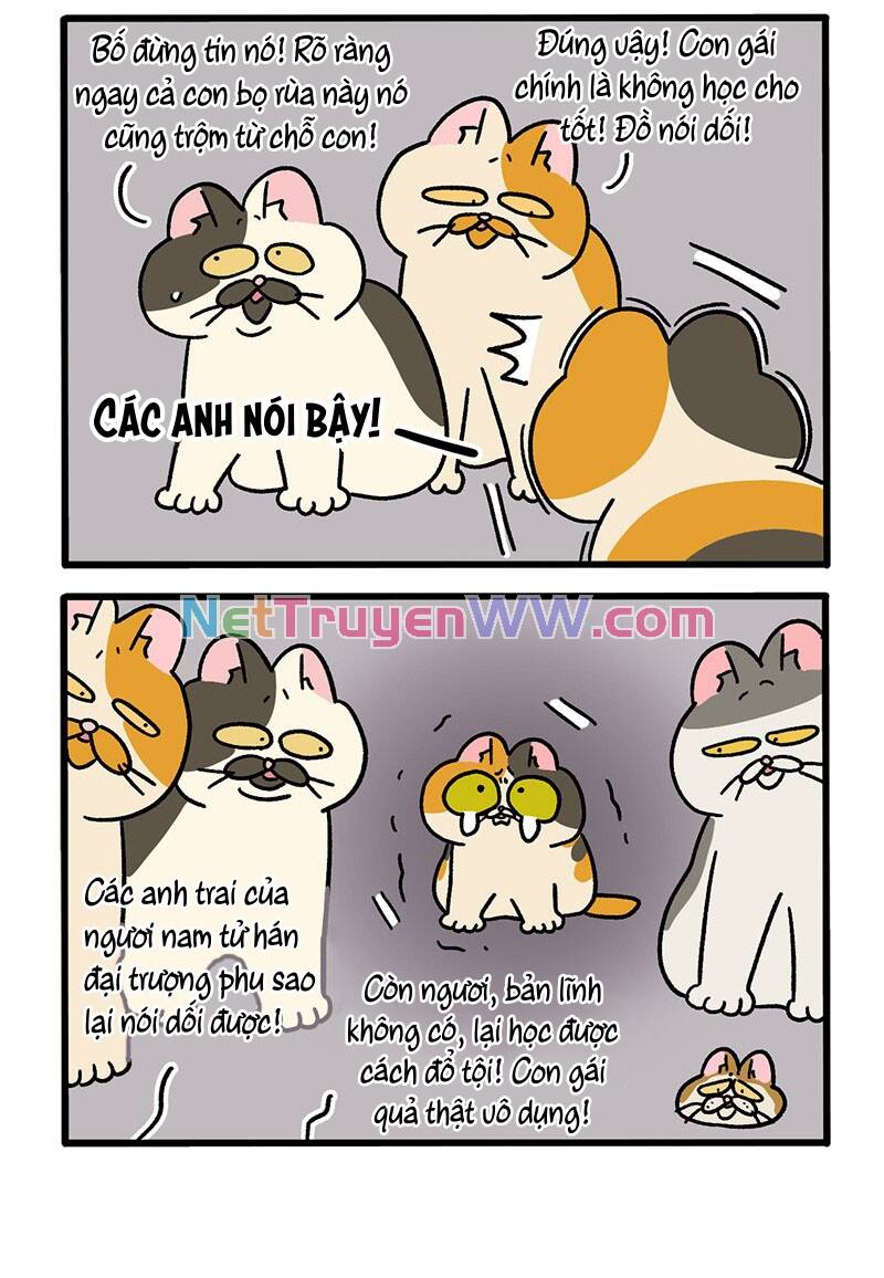 a mãn và mạch trà chapter 50.2 4