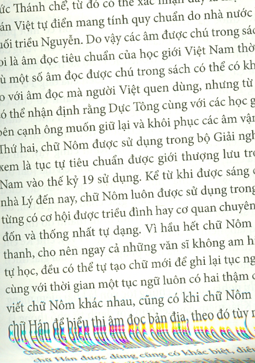 SỬ VIỆT - Nhìn Từ Tài Liệu Nguồn - Trần Kinh Hòa (Cheng Nin Ho) - Nguyễn Mạnh Sơn dịch - (bìa mềm)