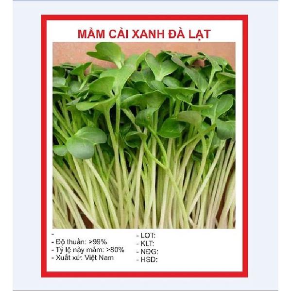 Hạt giống Mầm cải xanh Đà Lạt - 1 gói 50gr