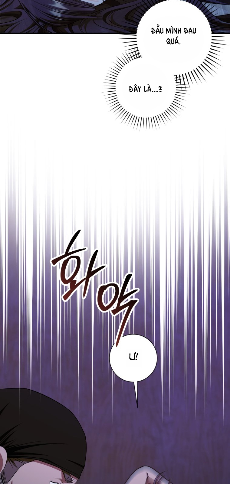 [18+] tôi đã kết hôn với kẻ thù giết cha mẹ chapter 21.2 24