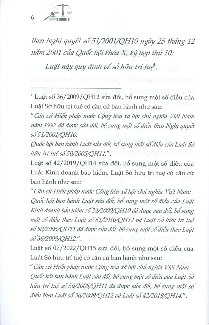 Luật Sở Hữu Trí Tuệ Sửa Đổi, Bổ Sung Năm 2009, 2019, 2022