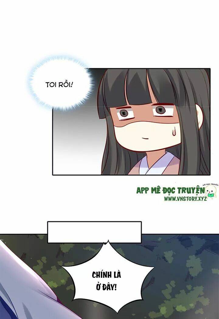 đô đốc đại nhân sủng thê kí chapter 155 23