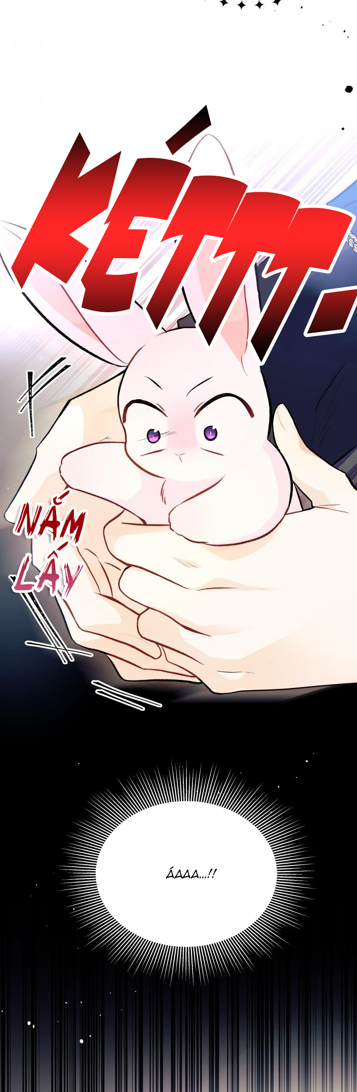 mối liên kết giữa báo đen và bé thỏ chapter 26 63