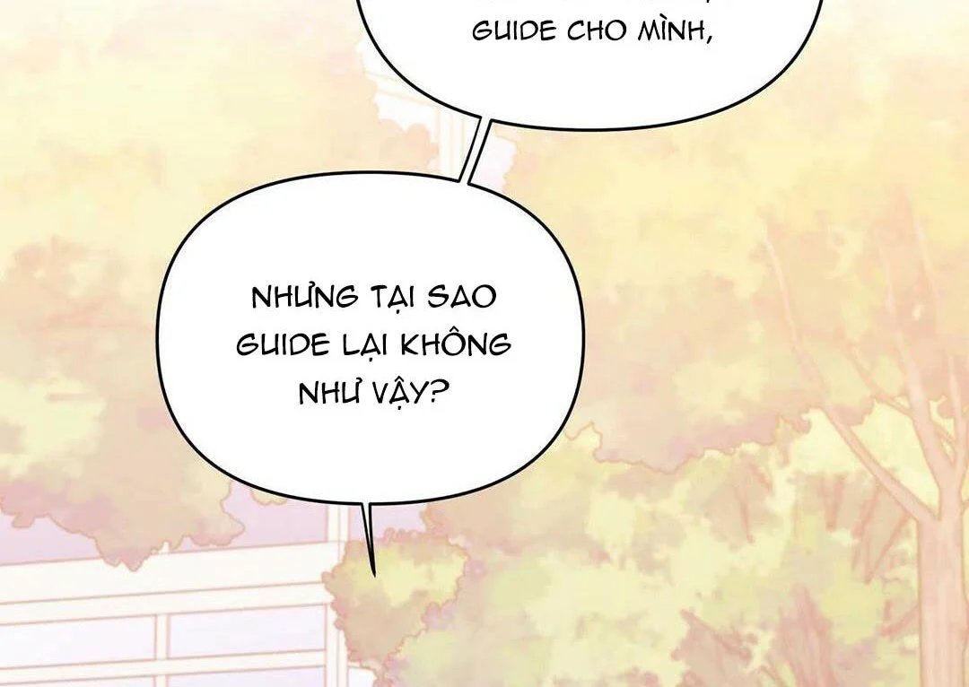 guide cấp b chapter 14 97