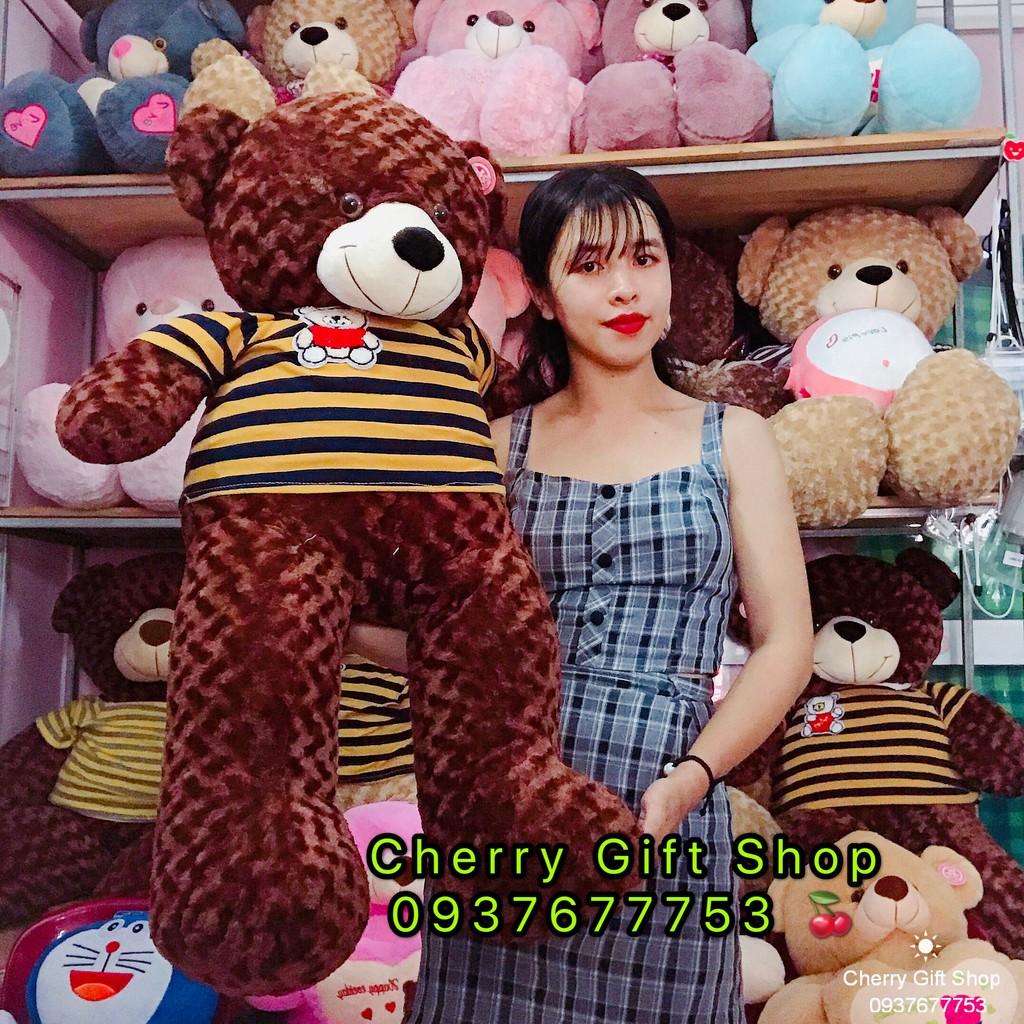 Gấu Bông Teddy Áo Xọc Giá Sốc 1m1 Ảnh Shop Chụp
