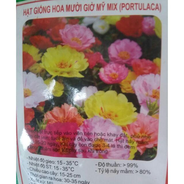 Hạt giống 10h mỹ mix
