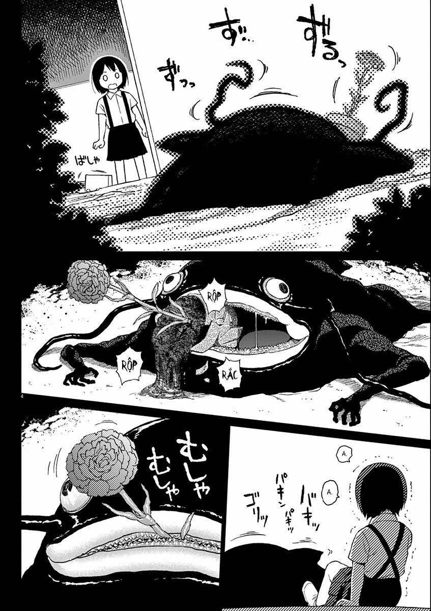 stretch chapter 14 5