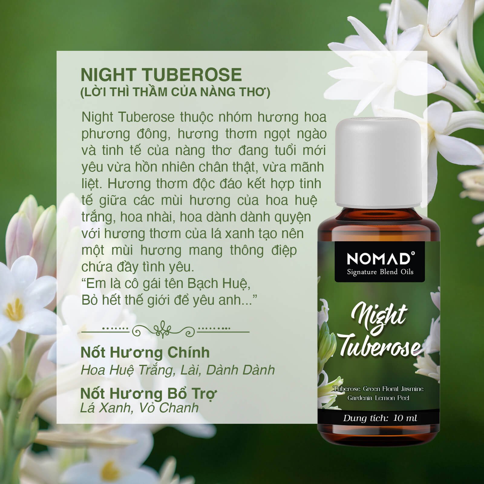 Tinh Dầu Thơm Cao Cấp Nomad Signature Blend Oils - Night Tuberose