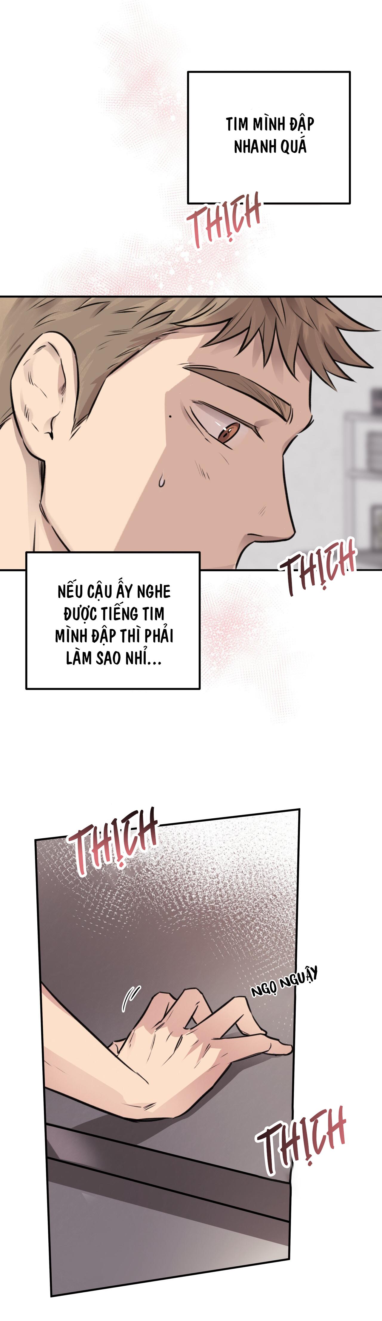 mật gấu chapter 8 9