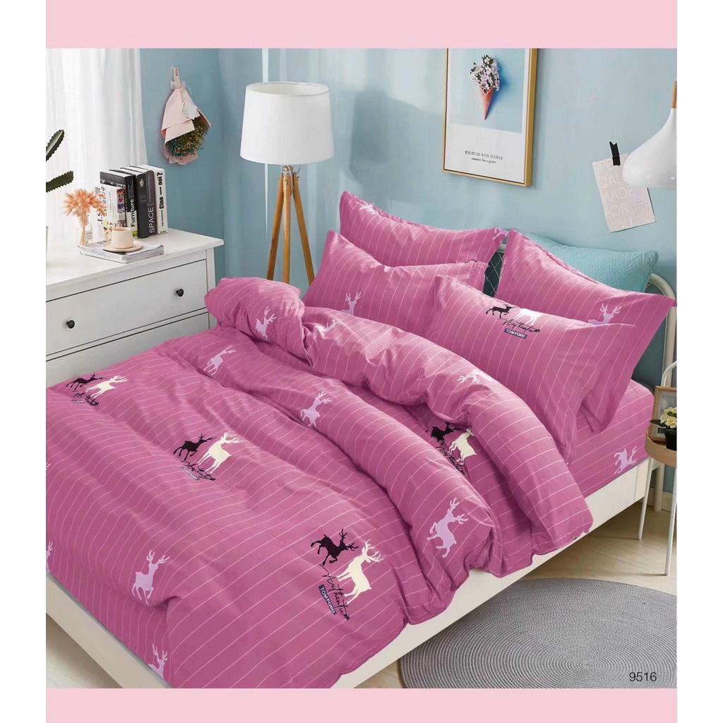 JEJUBEDDING _ Bộ chăn ga gối cotton 100% không mền