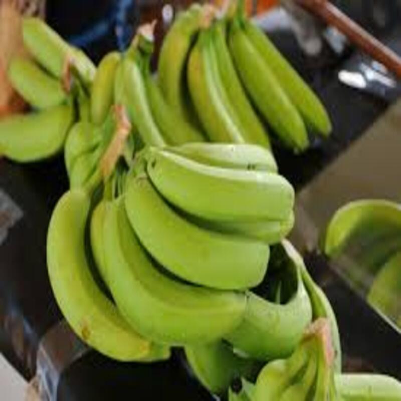 CÂY GIỐNG CHUỐI GIÀ LÙN NAM MỸ SIÊU QUẢ SIÊU KINH TẾ