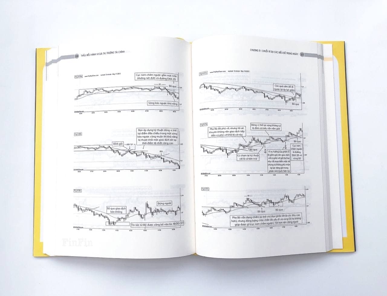 Thấu hiểu Hành vi giá Thị trường Tài chính (Understanding Price Action)