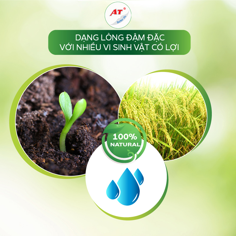 Chống bạc lá, sọc đen vi khuẩn chuyên lúa – Nano Đồng lúa 500ml