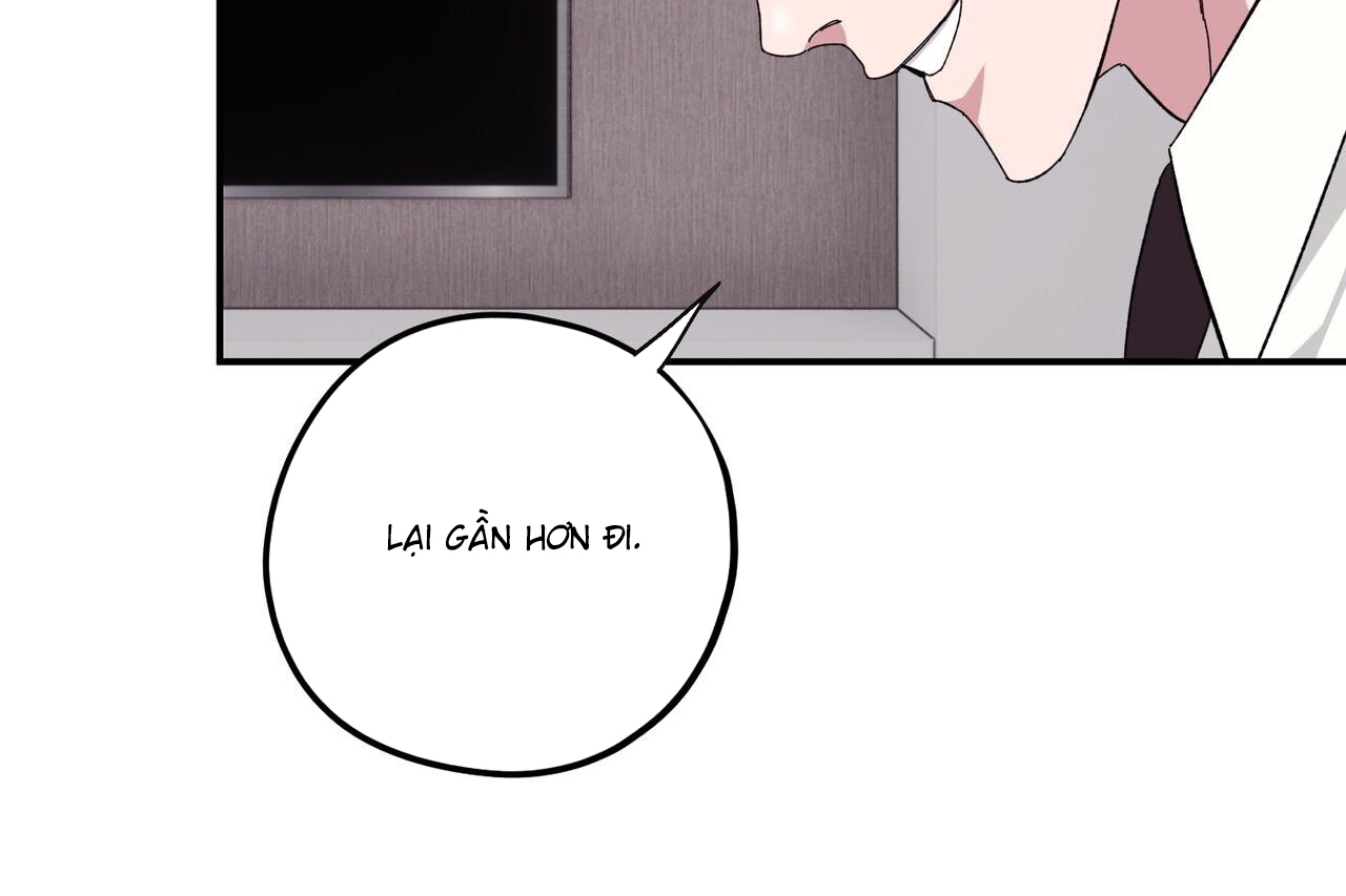 chàng dâu nhà họ kang chapter 34 65