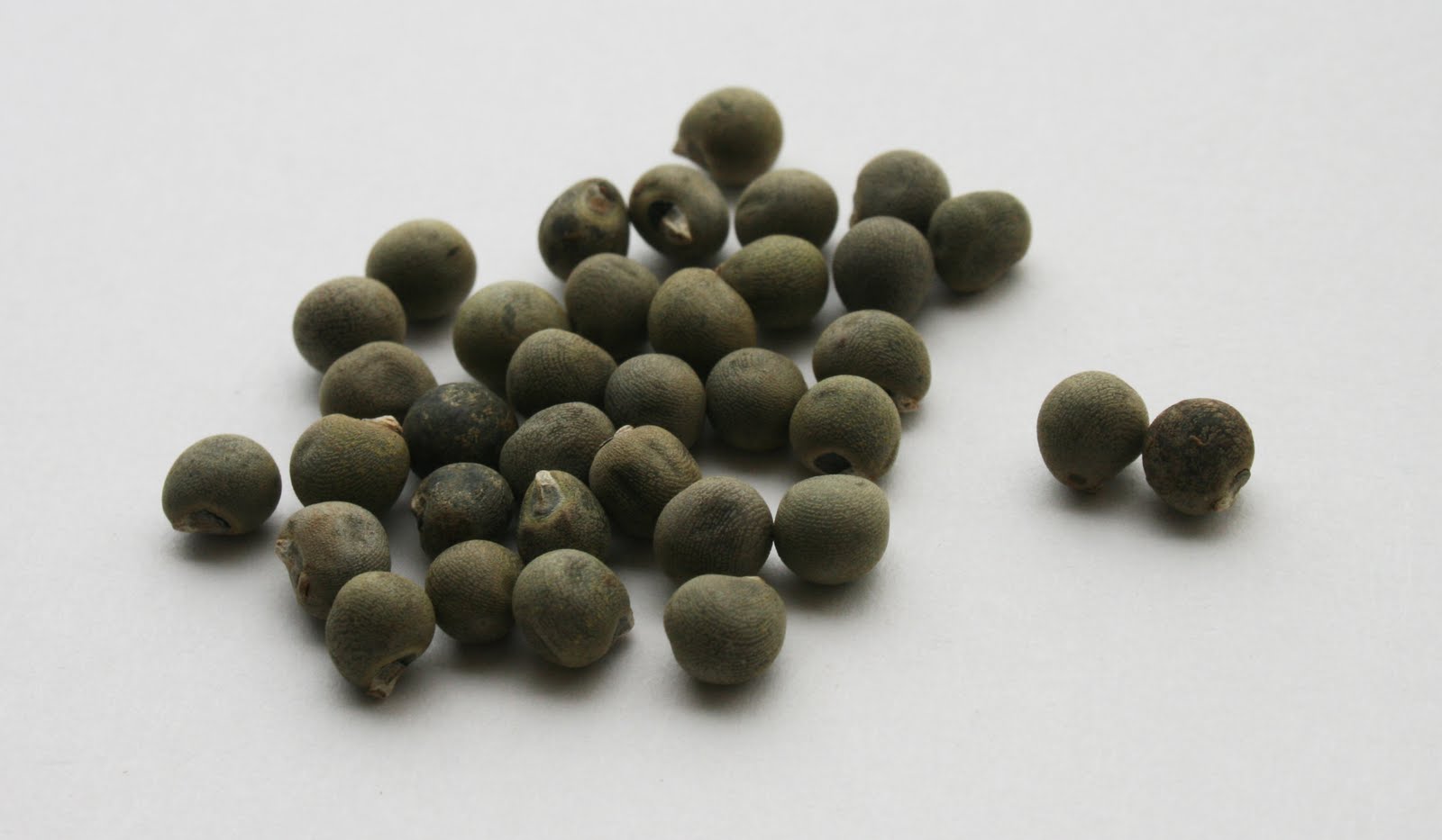 Hạt Giống Đậu Bắp Cao Sản Nam Bộ 50 Gram