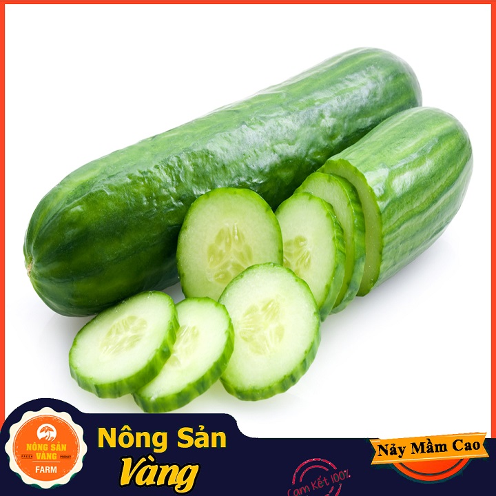 Hạt giống Dưa Leo ( Gói 25 hạt ) - Nông Sản Vàng