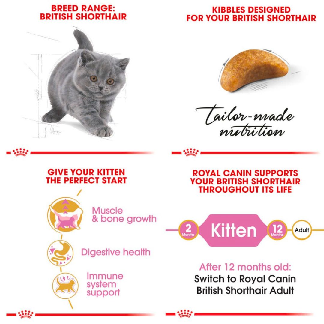 Thức Ăn Hạt Dành Cho Mèo Anh Lông Ngắn Từ 2-12 Tháng Tuổi Royal Canin British Shorthair Kitten