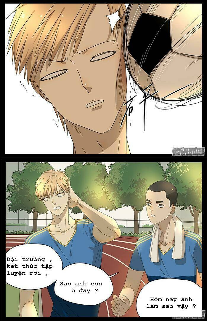 tương thân chung kết giả chapter 26 8