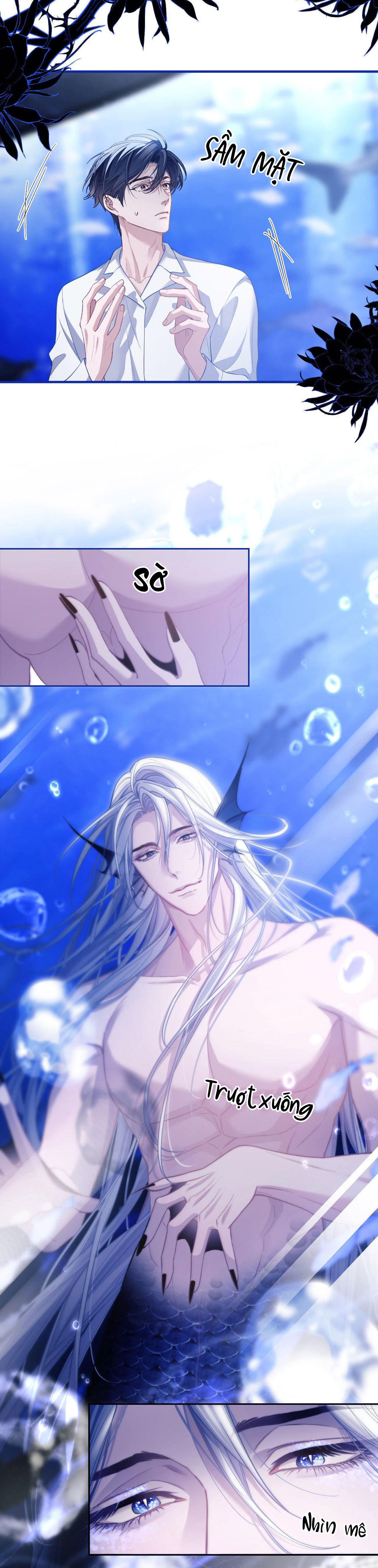 nhân ngư dessaro chapter 10 4