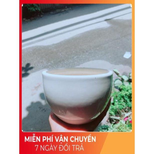 Nhất Mạc Hương kèm chậu sứ